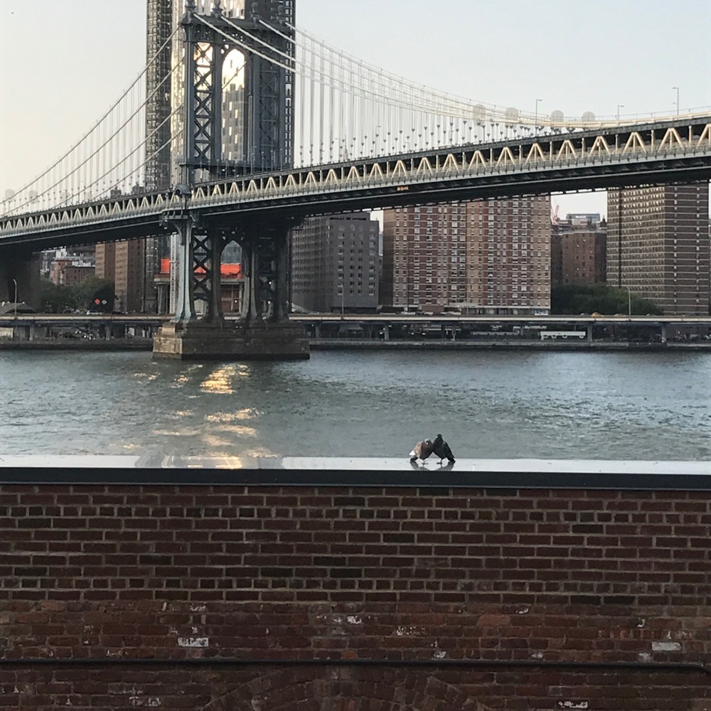 Meet your Posher, Sabrina